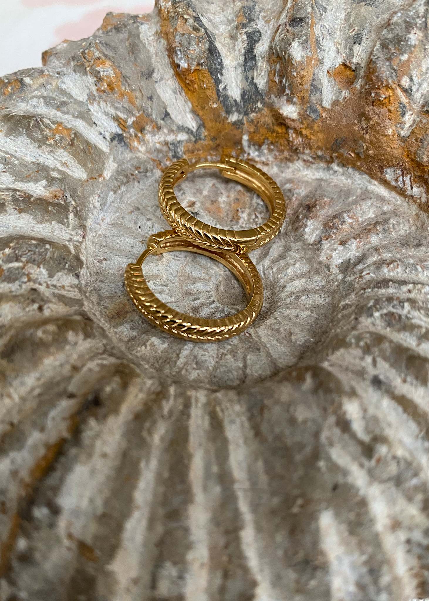 Fishbone Big hoop 2 cm 1 stk - guldbelagt